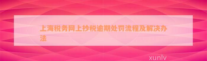 上海税务网上抄税逾期处罚流程及解决办法