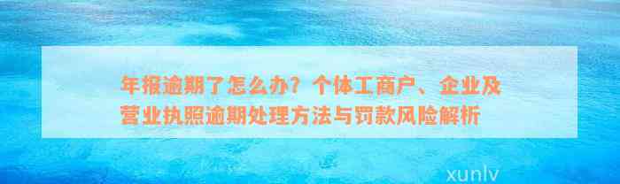 年报逾期了怎么办？个体工商户、企业及营业执照逾期处理方法与罚款风险解析