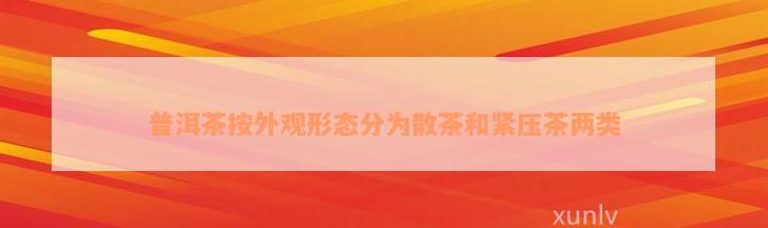 普洱茶按外观形态分为散茶和紧压茶两类