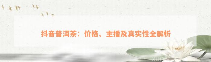 抖音普洱茶：价格、主播及真实性全解析