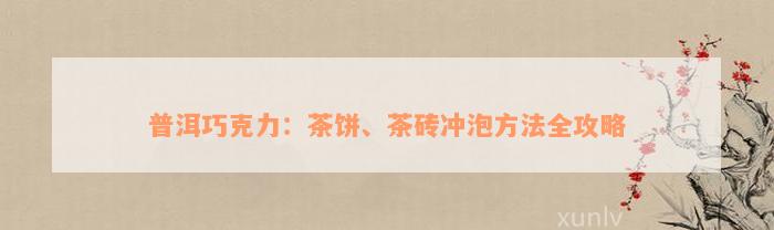 普洱巧克力：茶饼、茶砖冲泡方法全攻略