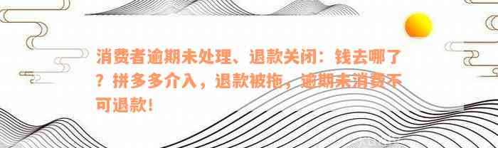 消费者逾期未处理、退款关闭：钱去哪了？拼多多介入，退款被拖，逾期未消费不可退款！