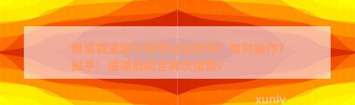 银消费逾期十天可以还款吗？如何操作？知乎：逾期后能否再次借款？