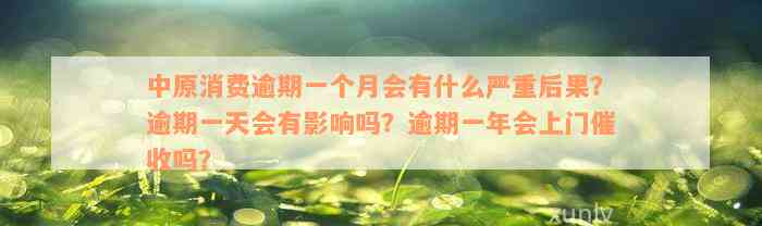 中原消费逾期一个月会有什么严重后果？逾期一天会有影响吗？逾期一年会上门催收吗？