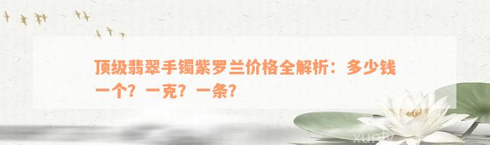 顶级翡翠手镯紫罗兰价格全解析：多少钱一个？一克？一条？