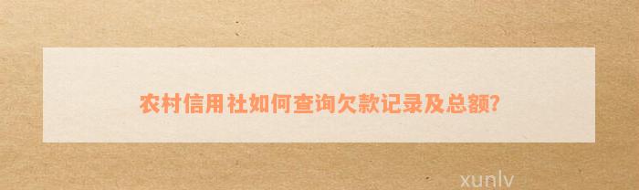 农村信用社如何查询欠款记录及总额？