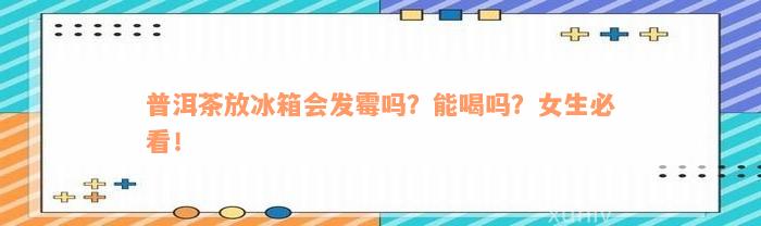 普洱茶放冰箱会发霉吗？能喝吗？女生必看！