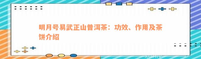 明月号易武正山普洱茶：功效、作用及茶饼介绍