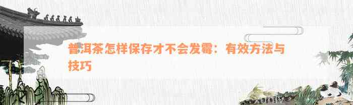 普洱茶怎样保存才不会发霉：有效方法与技巧