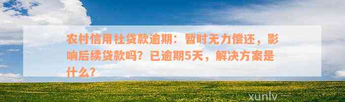 农村信用社贷款逾期：暂时无力偿还，影响后续贷款吗？已逾期5天，解决方案是什么？