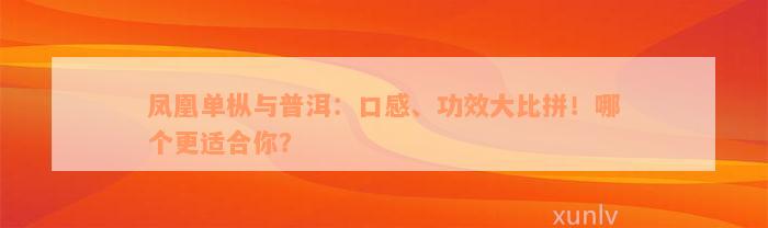 凤凰单枞与普洱：口感、功效大比拼！哪个更适合你？