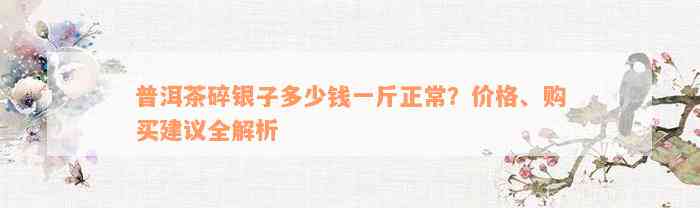 普洱茶碎银子多少钱一斤正常？价格、购买建议全解析