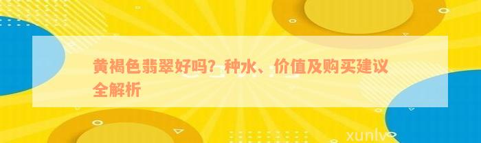 黄褐色翡翠好吗？种水、价值及购买建议全解析