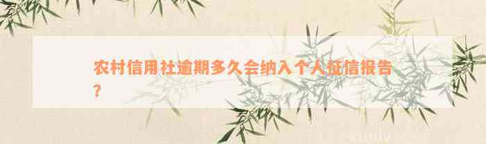 农村信用社逾期多久会纳入个人征信报告？