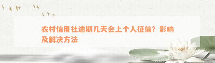 农村信用社逾期几天会上个人征信？影响及解决方法