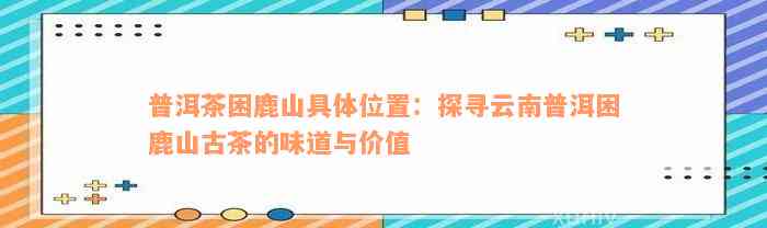 普洱茶困鹿山具体位置：探寻云南普洱困鹿山古茶的味道与价值