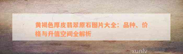 黄褐色厚皮翡翠原石图片大全：品种、价格与升值空间全解析