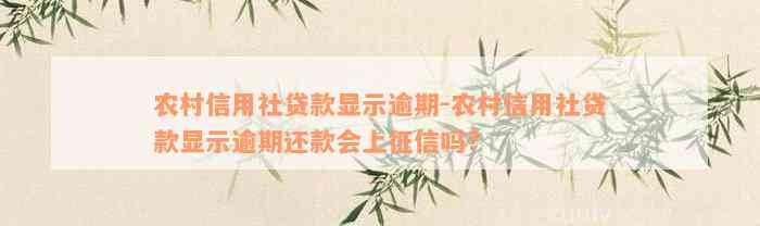 农村信用社贷款显示逾期-农村信用社贷款显示逾期还款会上征信吗?