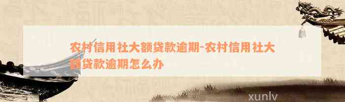 农村信用社大额贷款逾期-农村信用社大额贷款逾期怎么办