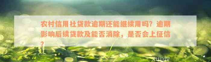 农村信用社贷款逾期还能继续用吗？逾期影响后续贷款及能否消除，是否会上征信？