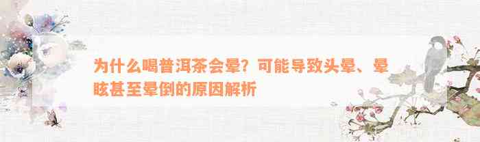 为什么喝普洱茶会晕？可能导致头晕、晕眩甚至晕倒的原因解析