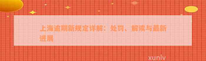 上海逾期新规定详解：处罚、解读与最新进展