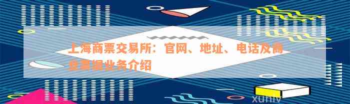 上海商票交易所：官网、地址、电话及商业票据业务介绍