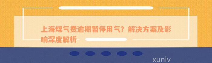 上海煤气费逾期暂停用气？解决方案及影响深度解析