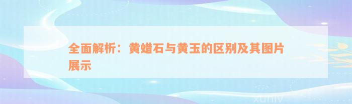 全面解析：黄蜡石与黄玉的区别及其图片展示