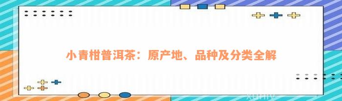 小青柑普洱茶：原产地、品种及分类全解