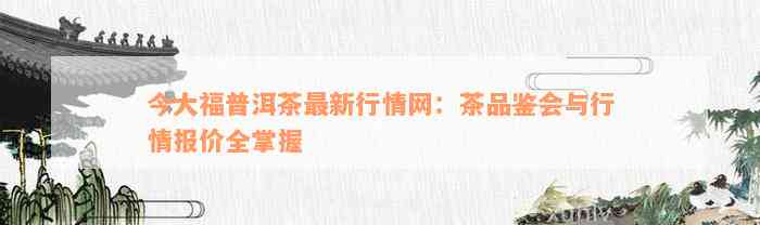 今大福普洱茶最新行情网：茶品鉴会与行情报价全掌握