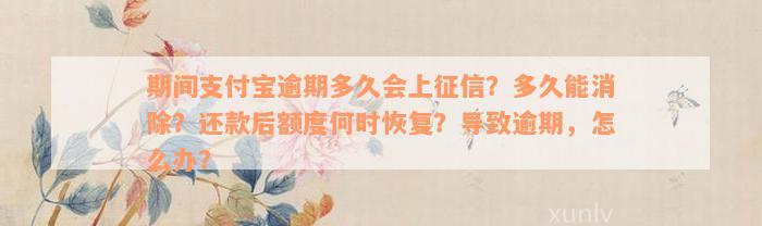 期间支付宝逾期多久会上征信？多久能消除？还款后额度何时恢复？导致逾期，怎么办？