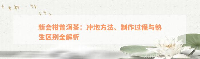 新会柑普洱茶：冲泡方法、制作过程与熟生区别全解析