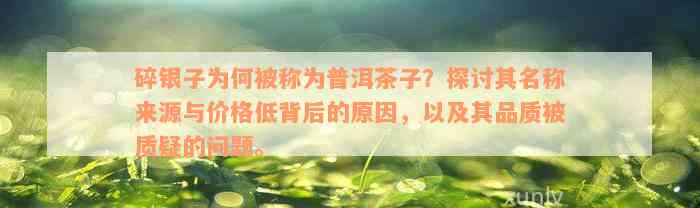 碎银子为何被称为普洱茶子？探讨其名称来源与价格低背后的原因，以及其品质被质疑的问题。