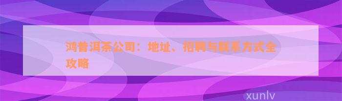 鸿普洱茶公司：地址、招聘与联系方式全攻略