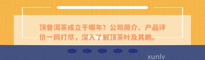 顶普洱茶成立于哪年？公司简介、产品评价一网打尽，深入了解顶茶叶及其鹏。