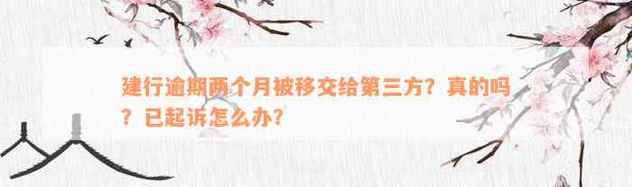 建行逾期两个月被移交给第三方？真的吗？已起诉怎么办？