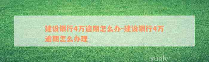 建设银行4万逾期怎么办-建设银行4万逾期怎么办理