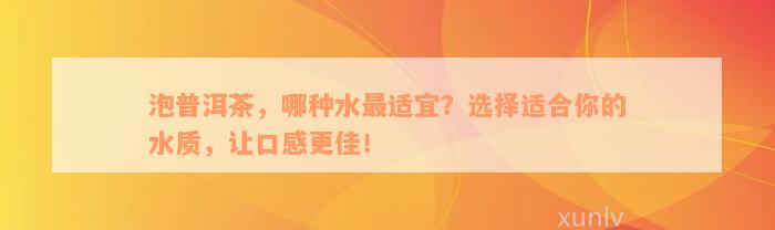 泡普洱茶，哪种水最适宜？选择适合你的水质，让口感更佳！