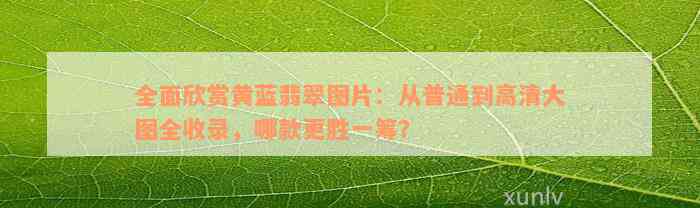 全面欣赏黄蓝翡翠图片：从普通到高清大图全收录，哪款更胜一筹？