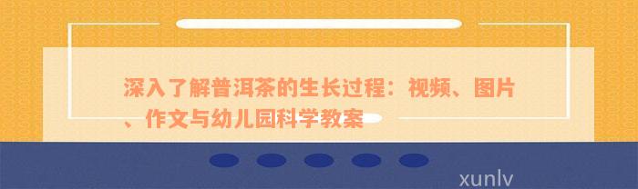 深入了解普洱茶的生长过程：视频、图片、作文与幼儿园科学教案