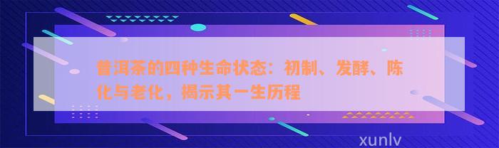 普洱茶的四种生命状态：初制、发酵、陈化与老化，揭示其一生历程