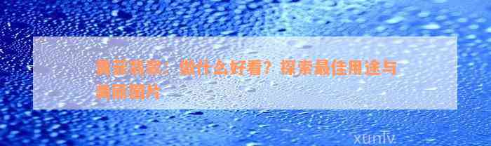 黄菲翡翠：做什么好看？探索最佳用途与美丽图片