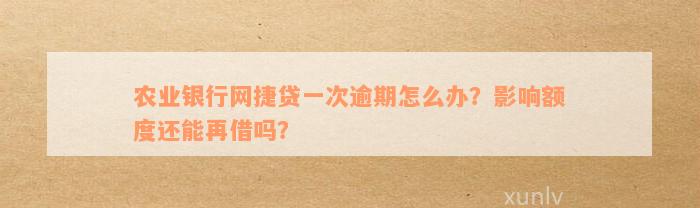 农业银行网捷贷一次逾期怎么办？影响额度还能再借吗？