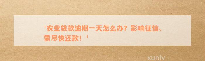 '农业贷款逾期一天怎么办？影响征信、需尽快还款！'