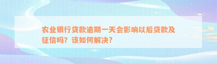 农业银行贷款逾期一天会影响以后贷款及征信吗？该如何解决?