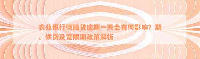 农业银行微捷贷逾期一天会有何影响？期、续贷及宽限期政策解析