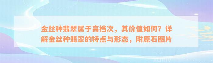 金丝种翡翠属于高档次，其价值如何？详解金丝种翡翠的特点与形态，附原石图片