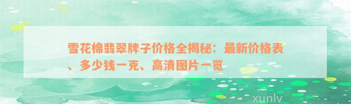 雪花棉翡翠牌子价格全揭秘：最新价格表、多少钱一克、高清图片一览