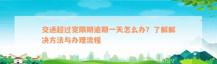 交通超过宽限期逾期一天怎么办？了解解决方法与办理流程